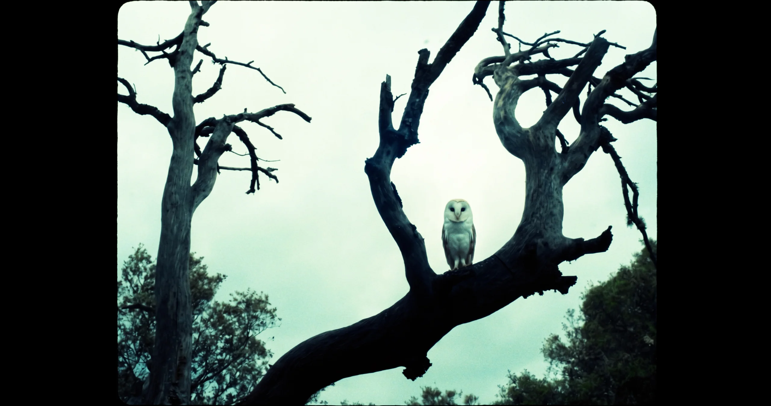Wichita Production — Kill the Boy (VFX), image 3